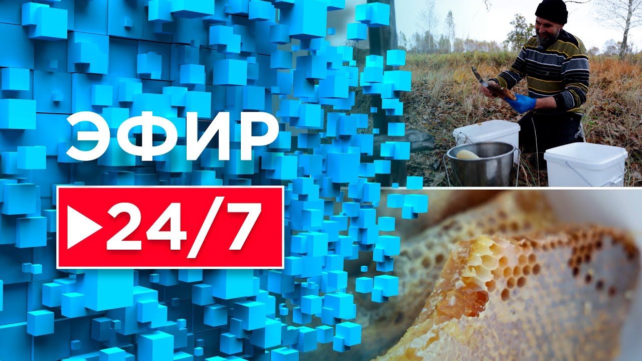 Белорусские кондитерские фабрики выпустят около 3 млн подарков к Новому году / Марафон добра