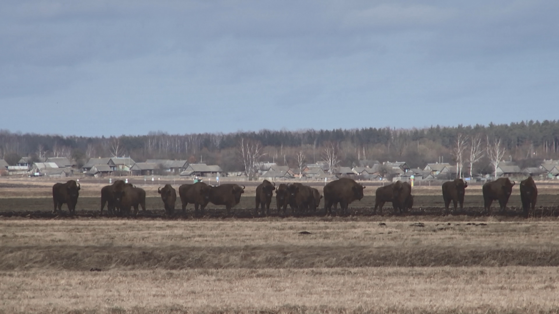 АКЦЕНТЫ ДНЯ
