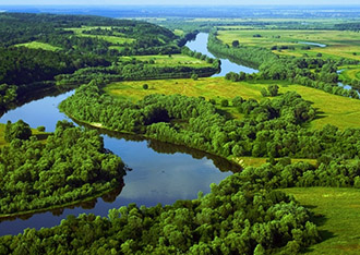 Национальный парк «Припятский»
