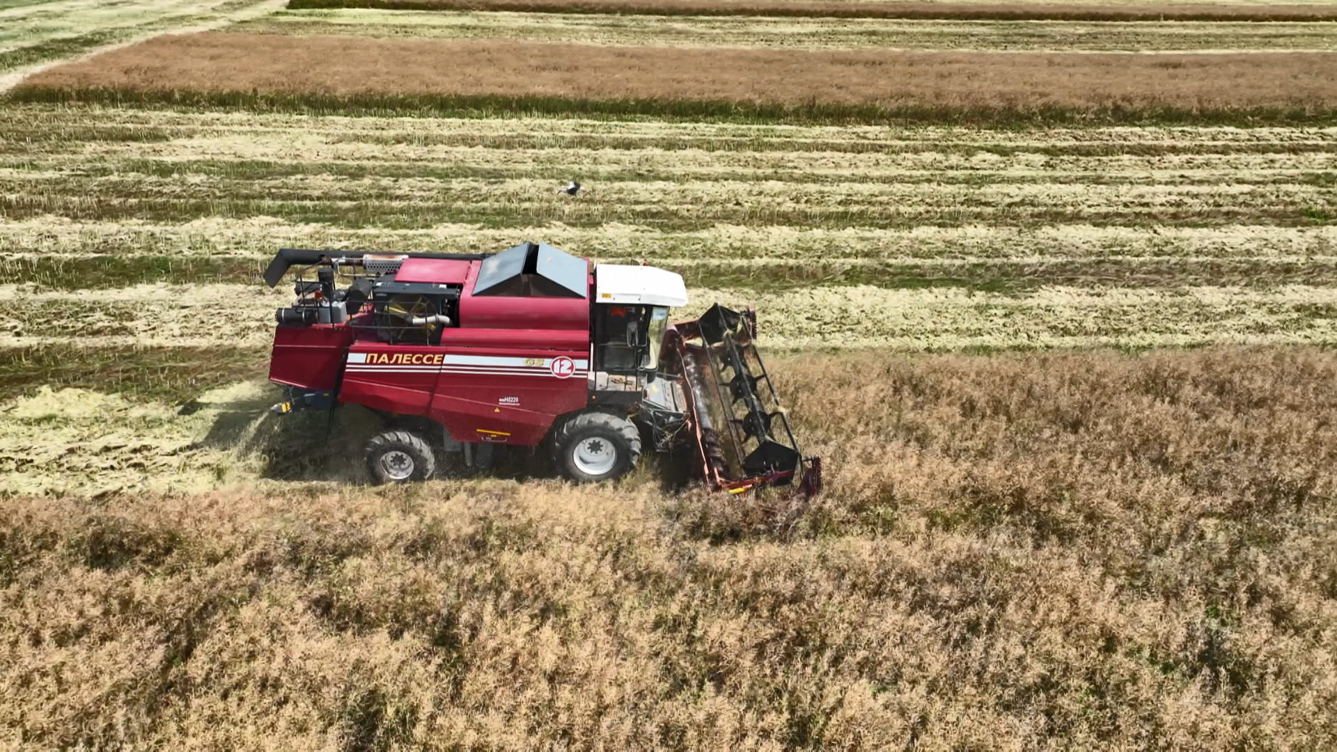 АКЦЕНТЫ ДНЯ