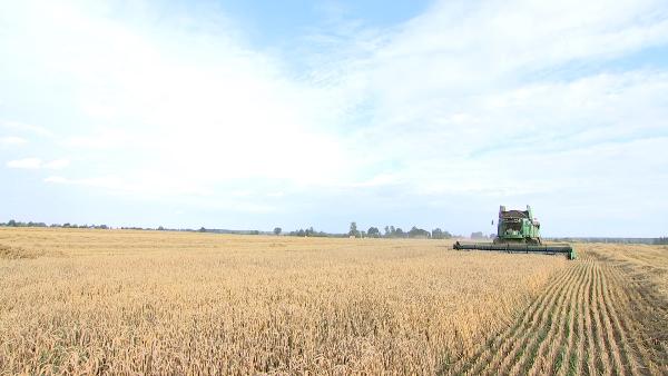 АКЦЕНТЫ ДНЯ