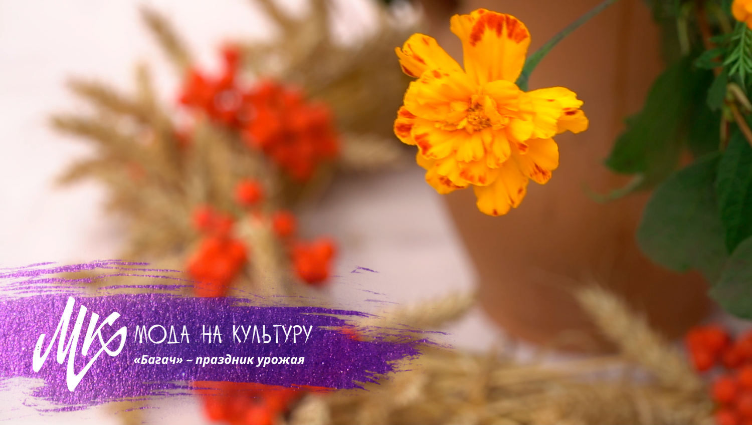 Праздник урожая «Багач». Как проходил в белорусских деревнях? С какого обряда начинается?