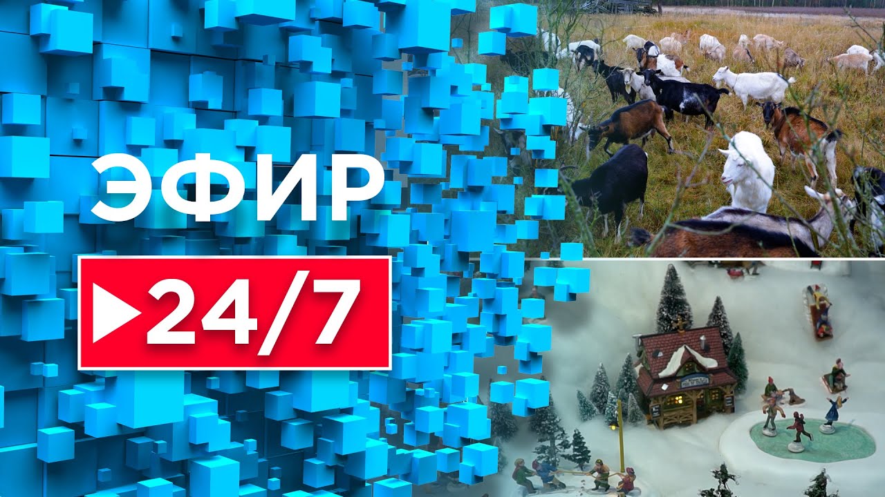 Всебелорусское народное собрание /  Вифлеемский огонь / День белорусского кино