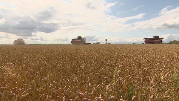 АКЦЕНТЫ ДНЯ