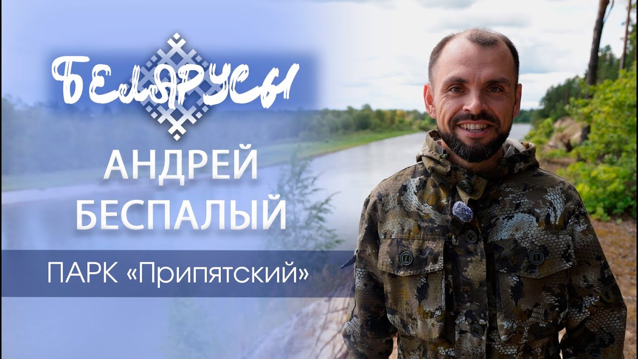 ДИКИЙ КОТ, который вернулся в природу Беларуси через 100 лет. Парк «Припятский» Андрей Беспалый