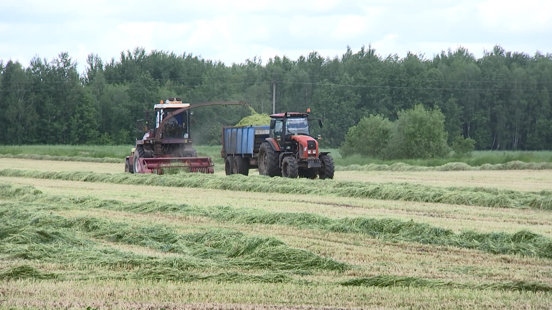 АКЦЕНТЫ ДНЯ