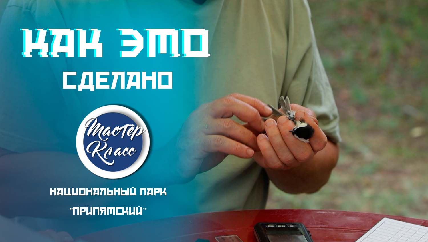 Экстрим на воде, большие жуки и древние поселения. Чем живет Национальный парк "Припятский"