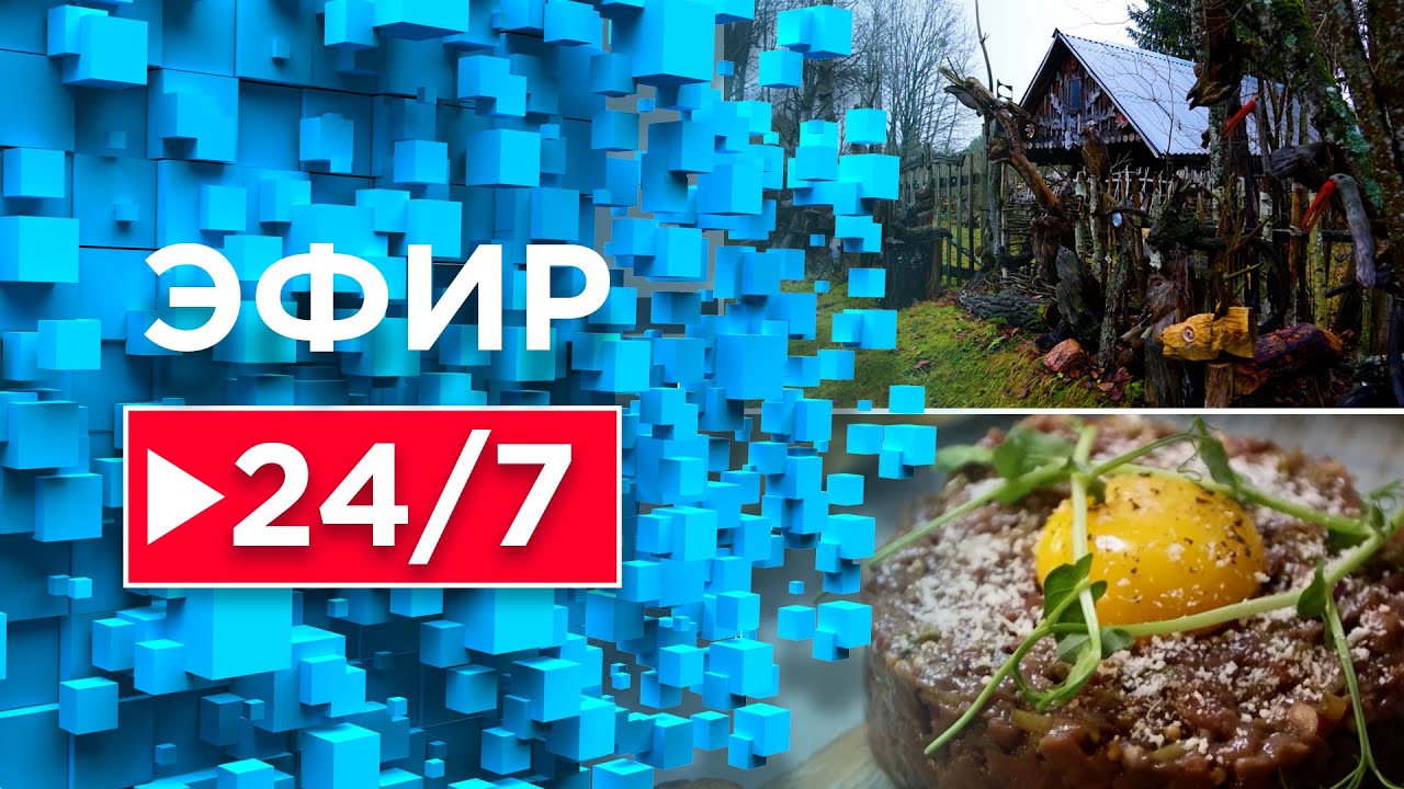 В Беловежской пуще начался зимний туристический сезон /  Белорусские санатории на 100% заполнены