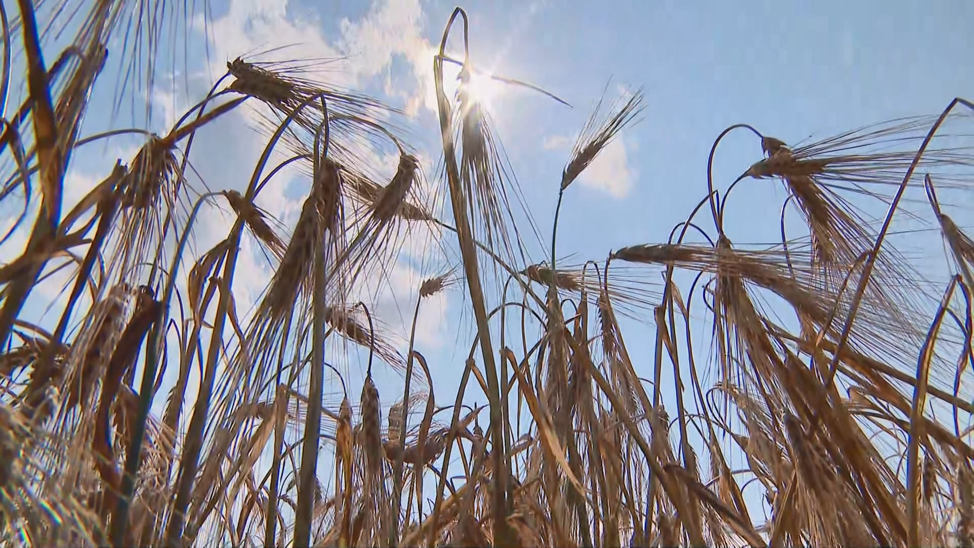АКЦЕНТЫ ДНЯ