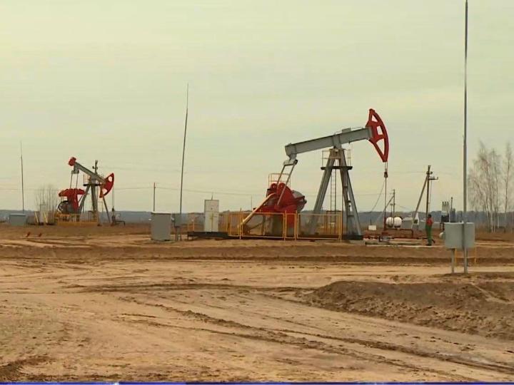 Новые залежи нефти открыли в Беларуси