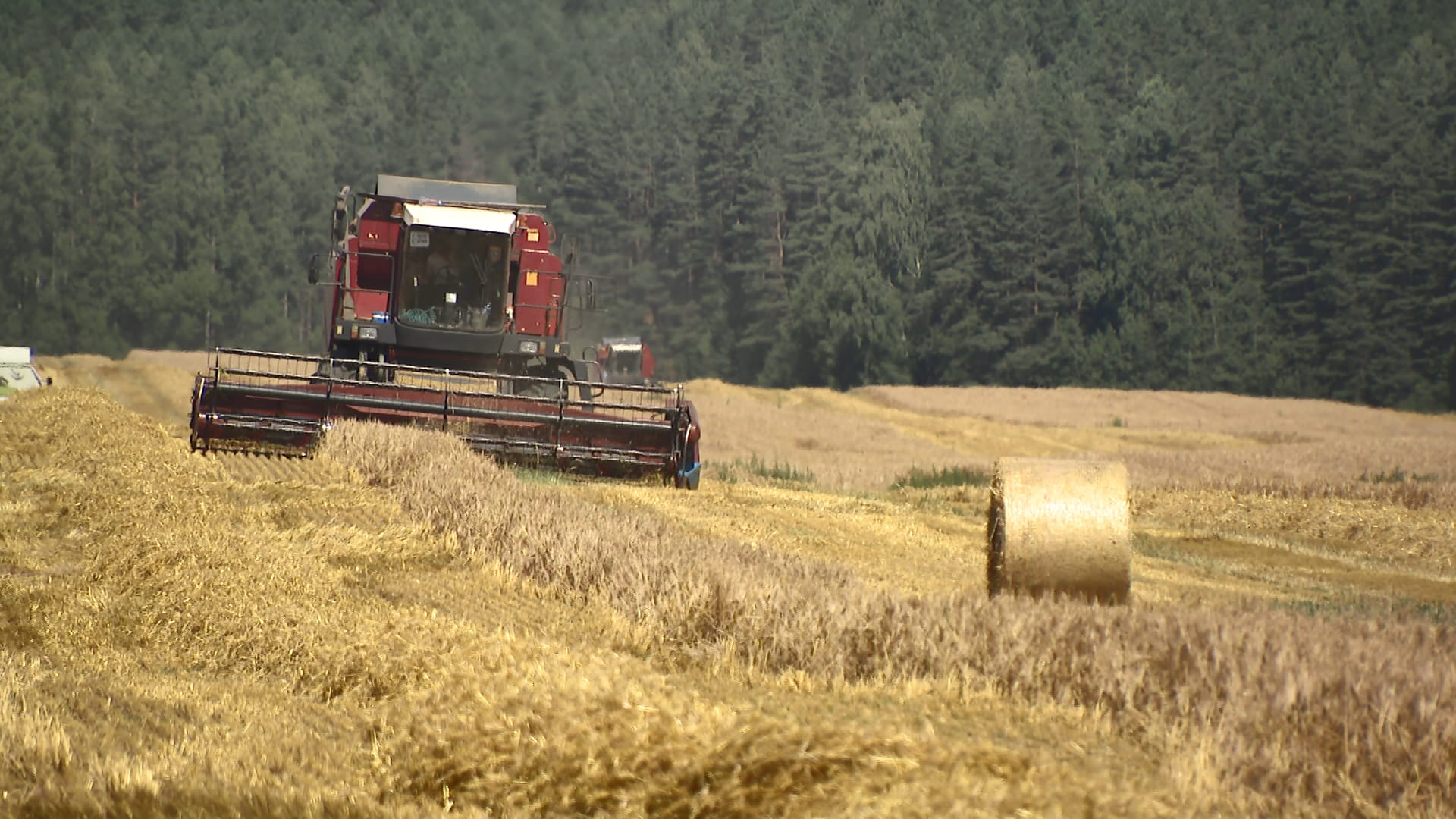 АКЦЕНТЫ ДНЯ