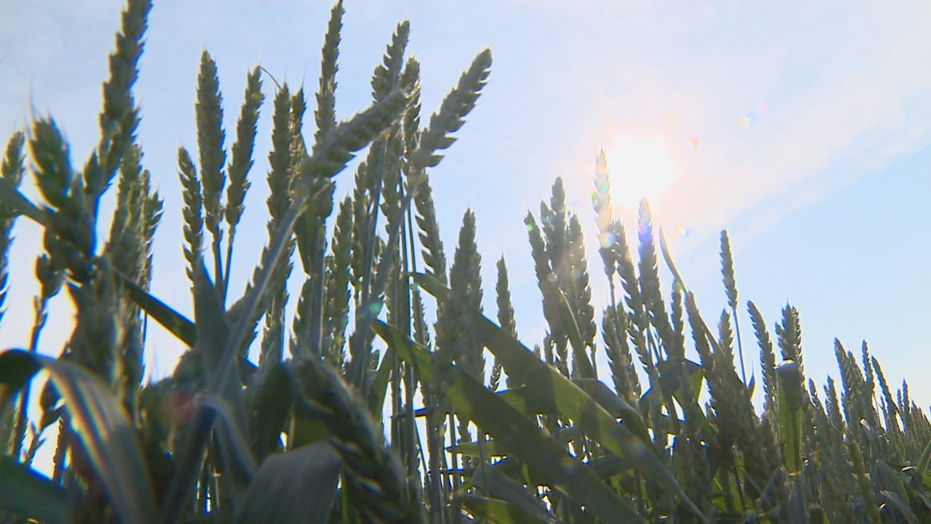 АКЦЕНТЫ ДНЯ