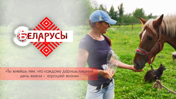 Две истории о чудесном спасении животных и добром сердце, которое умеет помогать