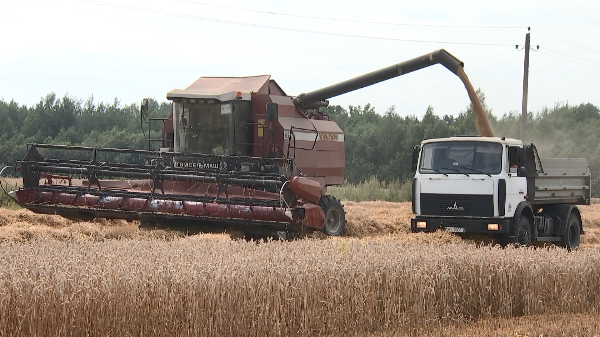 АКЦЕНТЫ ДНЯ