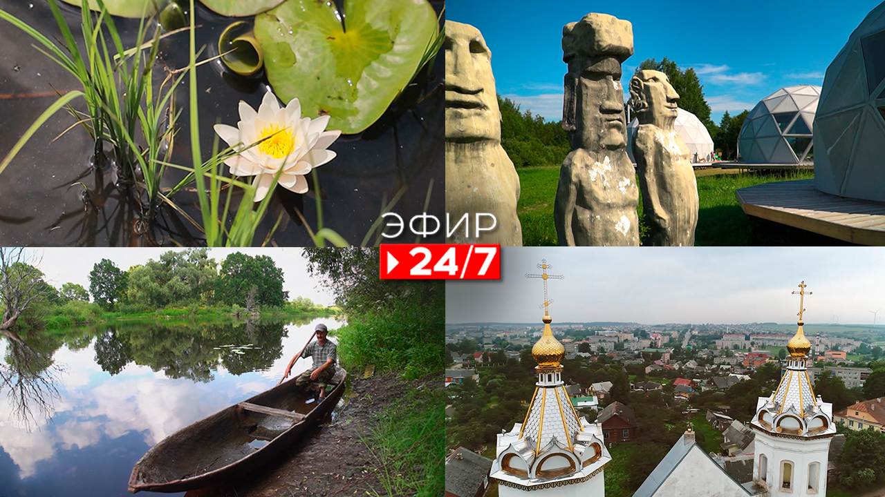 Эфир 24/7   04.11.2022