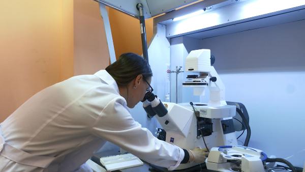 АКЦЕНТЫ ДНЯ