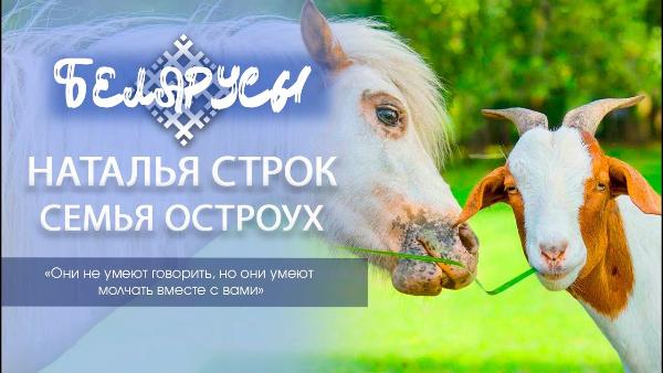 Труд на родной земле и радость от общения с животными. Всё о перспективе фермерства в Беларуси