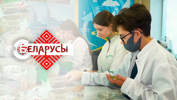 Как размножаются бактерии? Где искать золото, и являются ли летучие мыши вампирами?