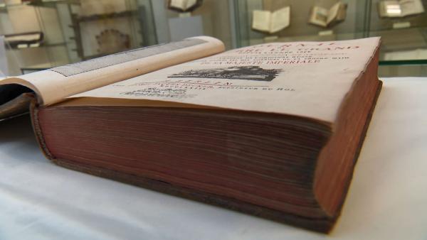 АКЦЕНТЫ ДНЯ