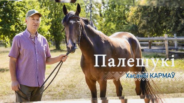 Фермер Хасанби Кармов о деревне Пески-1 и конном клубе