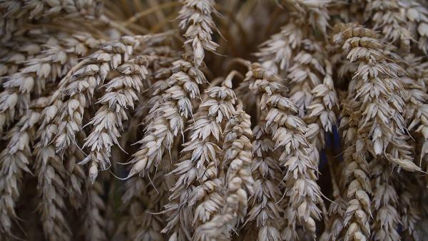 АКЦЕНТЫ ДНЯ