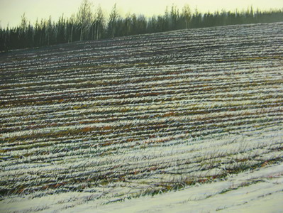 «Майстэрня. Гісторыя аднаго мастака»