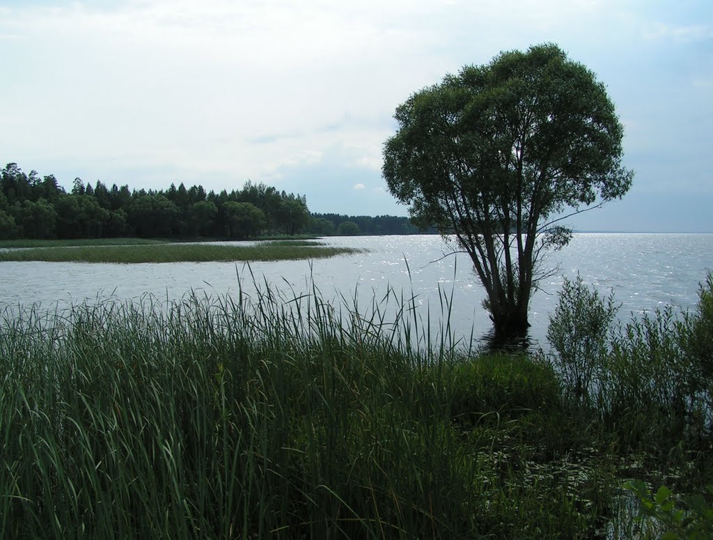 7 most beautiful rivers and lakes of Belarus