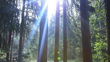 More than 160 people have been lost in the Belarusian forests in 3 months