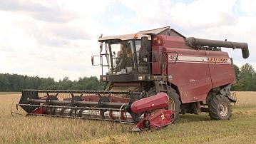 Minsk Oblast is preparing for grain harvest