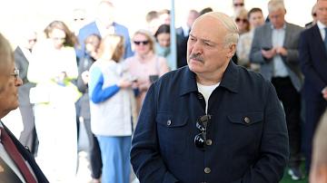 Potato farming development is in the focus of the President's attention