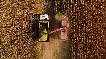 The weather is making changes to the pace of harvesting campaign