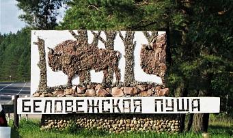 A musical section of the road will appear on the approach to Belovezhskaya Pushcha National Park