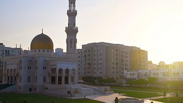 In 2024 the trade turnover between Belarus and Oman amounted to more than $5 mln 