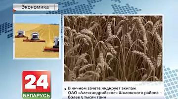 У Беларусі намалочана 6 мільёнаў 330 тон збожжа