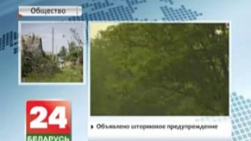 Damage from effects of hurricanes in Belarus amount to 13 million Br