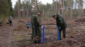 Продолжается зелёный марафон 