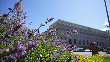 The new historical maximum of Belarus' gold and foreign exchange reserves is $11.5 bln.