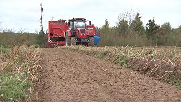 В Беларуси тем, кто нашёл работу на селе, окажут финансовую помощь