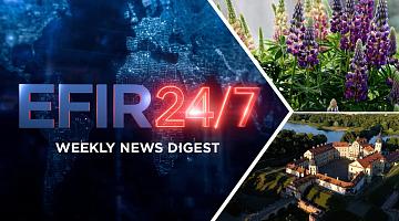 Белорусские учёные разработали котлеты и паштет из ЛЮПИНа / Батутисты завоевали 14 наград в Европе