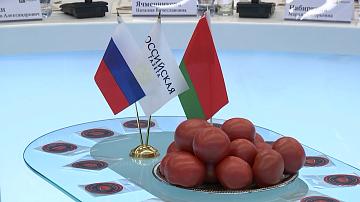 Белорусские и российские школьники готовят эксперимент на орбите
