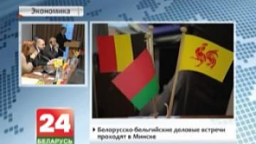 Белорусско-бельгийские деловые встречи прошли в Минске