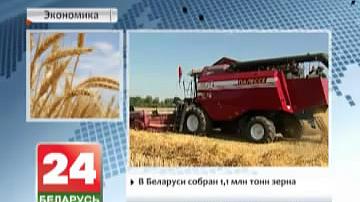 У Беларусі сабраны 1,1 млн тон збожжа