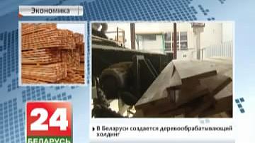 У Беларусі ствараецца дрэваапрацоўчы холдынг