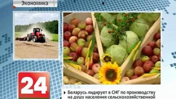 Belarus tops CIS in terms of per capita production of agricultural goods