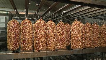 Belarus is ready to increase meat supplies to the Republic of Ghana