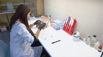 An international scientific and practical conference was held at the Institute of Forest of the National Academy of Sciences of Belarus
