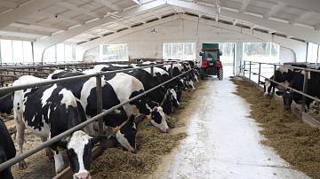 By the end of 2025, Belarus expects to receive at least $9 bln from food exports 