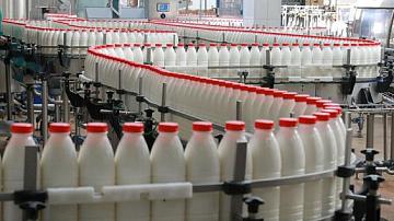 Беларусь наращивает производство сельхозпродукции