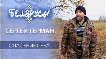 ПОВЕЛИТЕЛЬ диких пчёл. Бортник, спасающий полесскую «аборигенку» – черную пчелу! Сергей Герман
