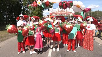 Strawberry festival held in the Dvorets